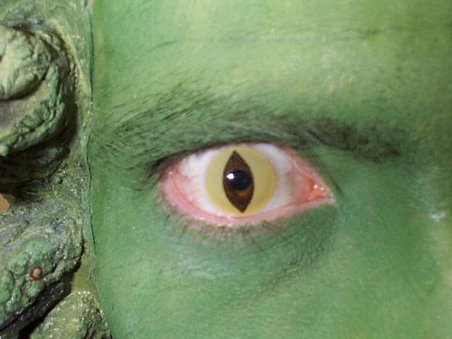 me in Gorgon costume: Cat Eye contact closeup