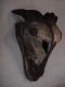 WDW00-19-antelope_head_sculpture_1-thumbnail.jpg