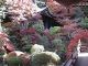 Japan00-037-Bishamon-do_exterior_3-thumbnail.jpg
