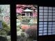 Japan00-041-Bishamon-do_through_door-thumbnail.jpg