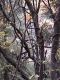 Japan00-058-Kyoto_forest_2-thumbnail.jpg