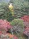 Japan00-070-view_from_Sanmon_8-thumbnail.jpg