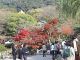 Japan00-102-Maruyama_park_1-thumbnail.jpg