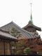 Japan00-105-climbing_to_Kiyomizu-dera_1-thumbnail.jpg