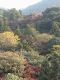 Japan00-117-view_from_Kiyomizu-dera_1-thumbnail.jpg