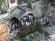 Japan00-121-Kiyomizu-dera_fountains-thumbnail.jpg