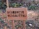 Japan00-128-keep_out_of_sakura_planting_area-thumbnail.jpg