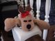 Xmas00-04-female_reindeer_doll-thumbnail.jpg