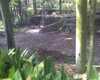 JacksonvilleZoo_0428-post-3039975278987-thumbnail.jpg