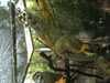 JacksonvilleZoo_0458-thumbnail.jpg