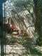 OCZoo2012-11-the_other_mountain_lion_enclosure-thumbnail.jpg