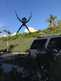 cool_spiders_2017-06-10_3-Argiope_argentata-thumbnail.jpg